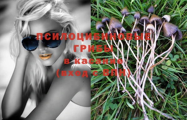 а пвп мука Кулебаки