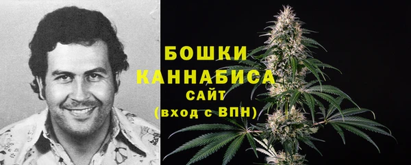 стаф Краснослободск
